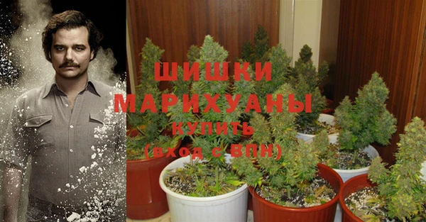 хмурый Белокуриха