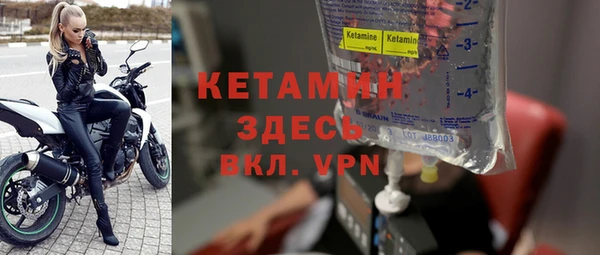 хмурый Белокуриха