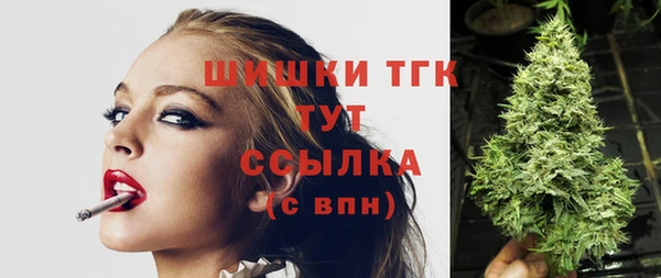 хмурый Белокуриха