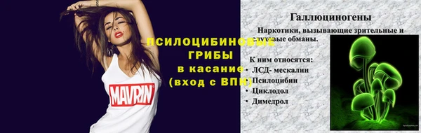 хмурый Белокуриха