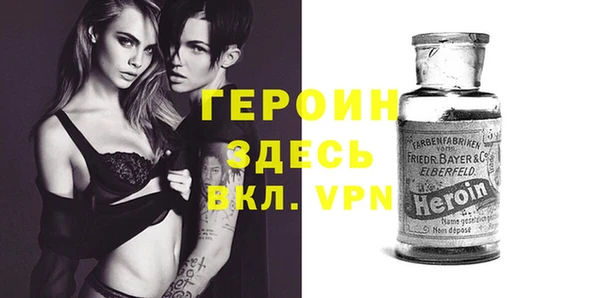 хмурый Белокуриха