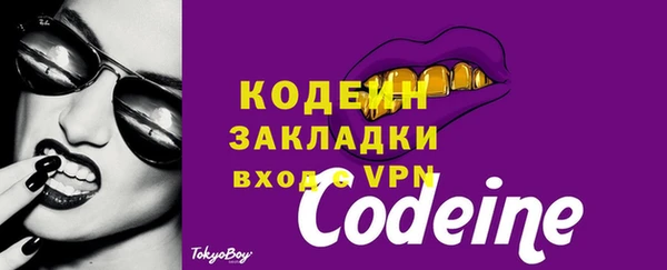 хмурый Белокуриха