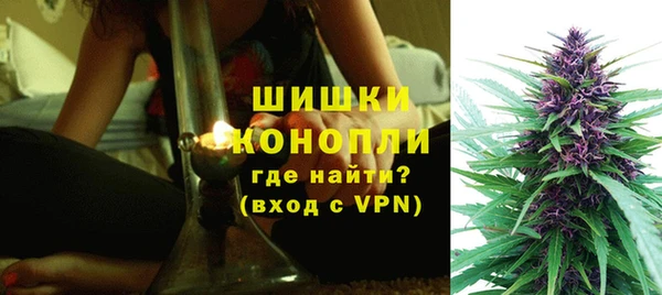 хмурый Белокуриха