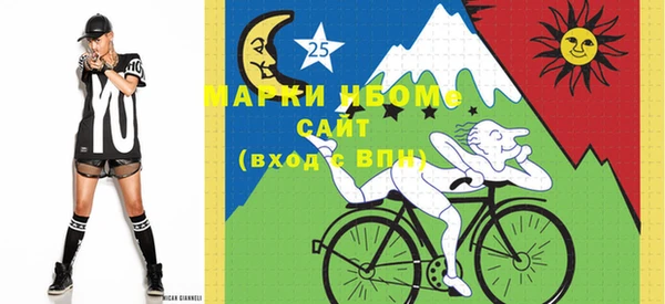 хмурый Белокуриха
