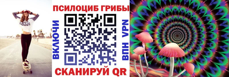 где купить наркоту  Кирово-Чепецк  Галлюциногенные грибы Psilocybine cubensis 